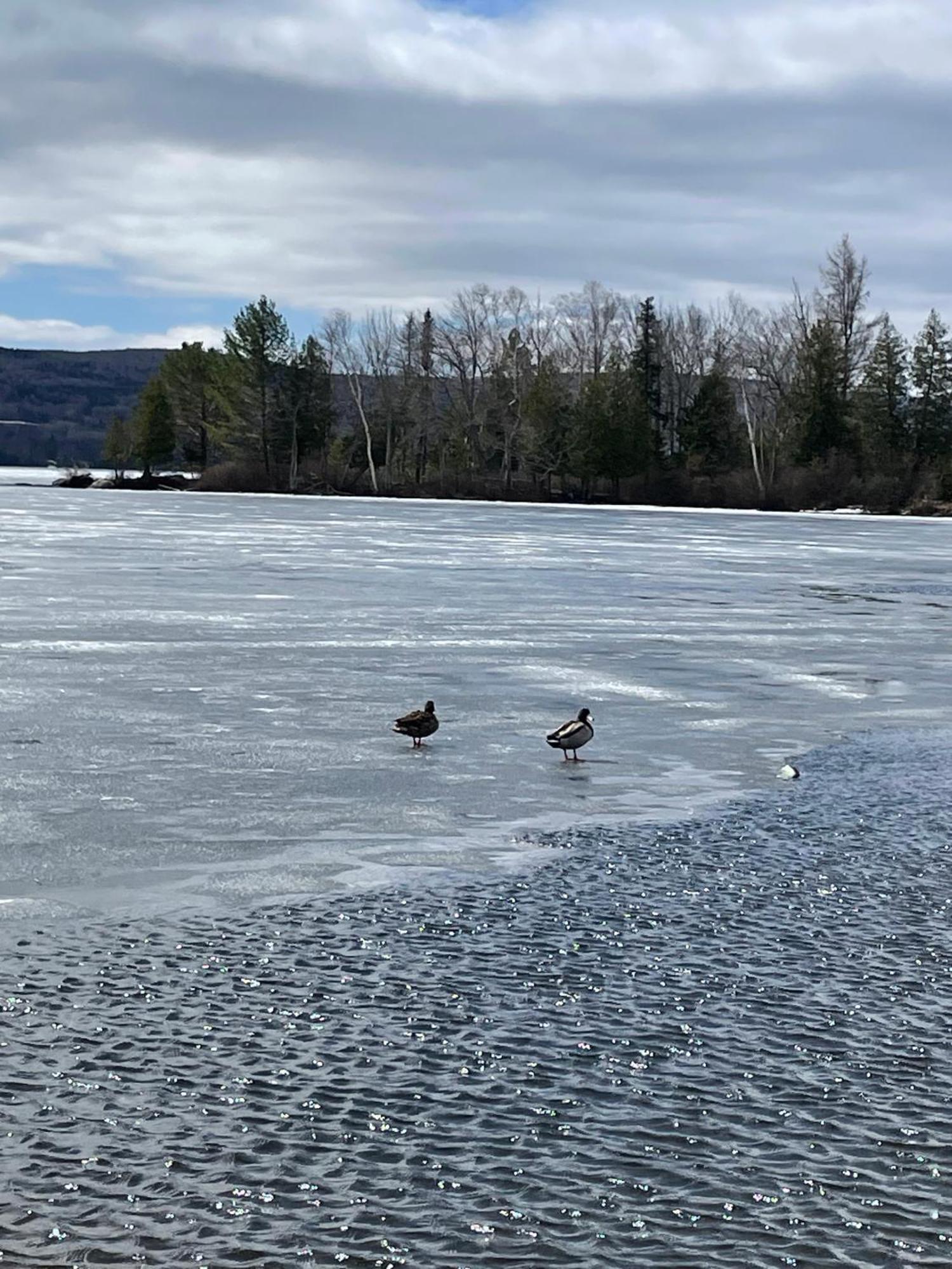 Rangeley Town & Lake Экстерьер фото